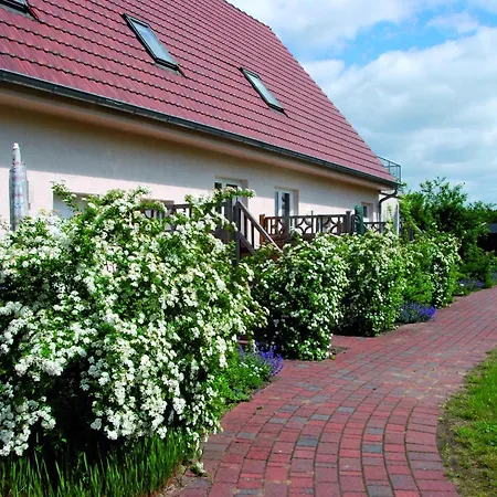 Reihenhaus Mit Wlan In Am Mueritzsee Feriehus Buchholz (Mecklenburg-Vorpommern)