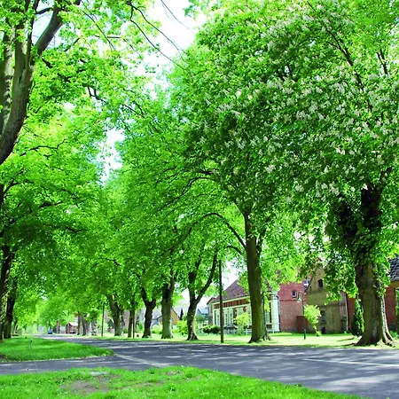 Feriehus Reihenhaus Mit Wlan In Am Mueritzsee *